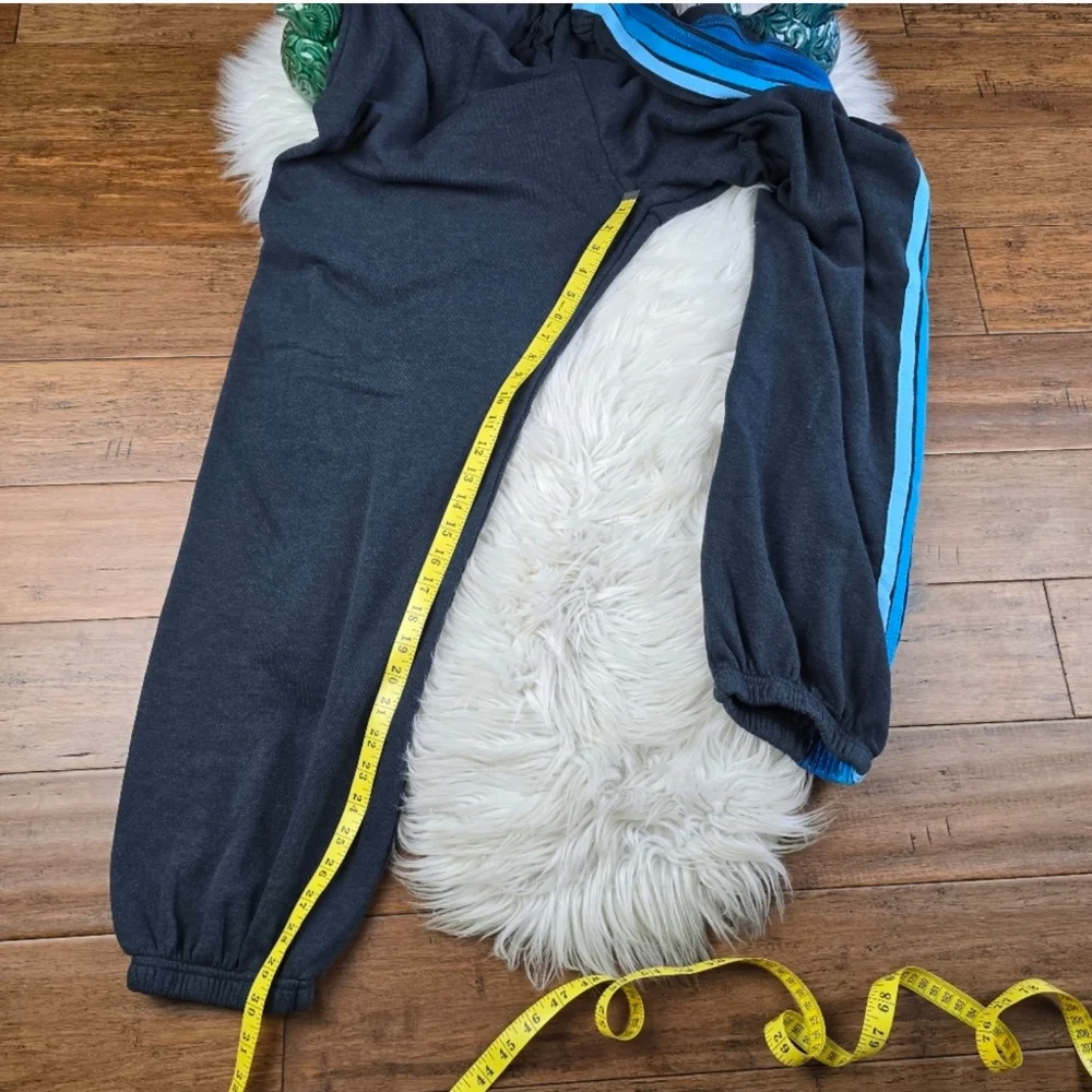 Aviator Nation 5 Stripe Jogger Mens Sweatpants XXL